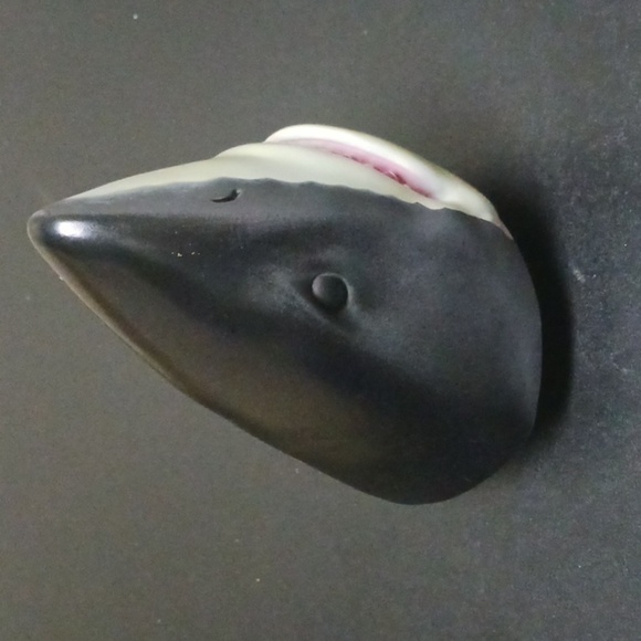 Shark Case - Picture 8 of 8